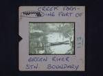 Creek forming park of Green River, station boundary, [Papua New Guinea, 1954?]