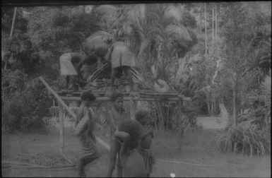Harvest preparation (1) : Fergusson Island, D'Entrecasteaux Islands, Papua New Guinea, 1956-1958 / Terence and Margaret Spencer