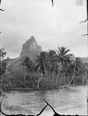 [Coastal landscape - Mo'orea, Society Islands]