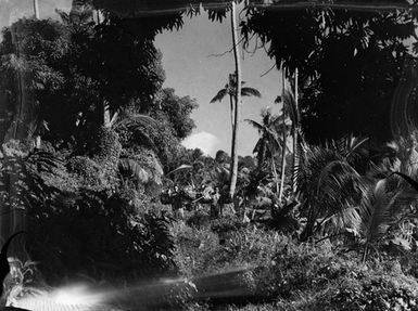 [Pacific Island boy chopping a section of a tree]