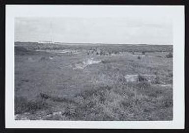 Vegetation plots, Kure Atoll, 1963-1964
