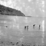 Women in water with fishing net