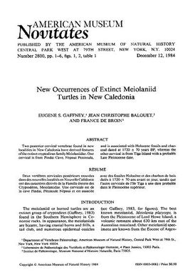 New occurrences of extinct meiolaniid turtles in New Caledonia