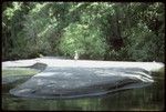 Man in front of lagoon