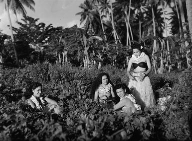 [Group of Pacific Island women in low vegetation]