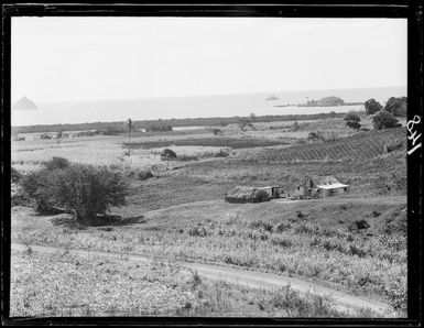 Countryside and homestead in Rakiraki, Viti Levu, Fiji