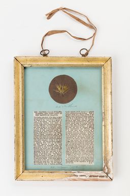 Framed newspaper clipping