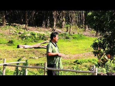 PBS Hawaii - HIKI NŌ Episode 518 | Roosevelt High School | Papahana Kuaola