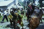 [Dancers], note wooden shield carried by dancer, GGT [Governor Generals tour], Butibum, [Lae,1963?]