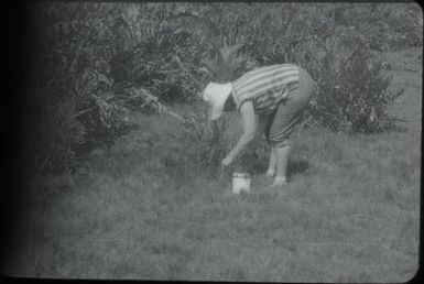 Looking for anopheline mosquito larvae (2) : Nissan Island, Papua New Guinea, 1960 / Terence and Margaret Spencer