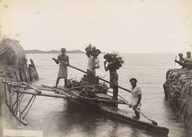 "Fresh for the market Bau". Fijian men on canoe