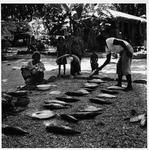 Peleni, Fakaofo, Tokelau 1971