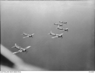 AIRBORNE OVER BOUGAINVILLE ISLAND, SOLOMON ISLANDS. 1945-01-17. PHOTOGRAPH TAKEN FROM A WIRRAWAY AIRCRAFT OF NO. 5 (ARMY CO-OPERATION) SQUADRON RAAF WHICH ALSO ACT AS PATHFINDERS TO ROYAL NEW ..