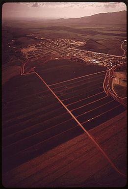 "NEW TOWN" GROWS WHERE PINEAPPLES USED TO THRIVE. PINEAPPLE GROWERS ARE DEVELOPING THEIR OWN "SURPLUS LAND." THIRTEEN HUNDRED ACRES OF A PROJECTED THIRTY-FIVE HUNDRED ACRE DEVELOPMENT HAVE BEEN REZONED SINCE THE START IN 1958