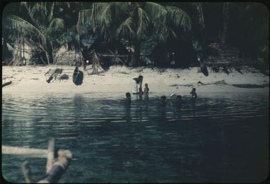 Canoes on the beach (1) : Mortlock Islands, Papua New Guinea, 1960 / Terence and Margaret Spencer