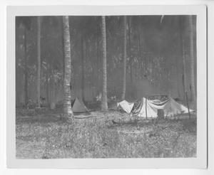 [Guadalcanal Burning, No. 2]