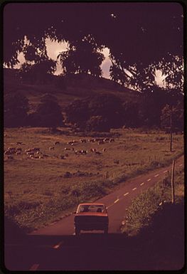 THE HANA AREA OF MAUI IS MOSTLY PRIME AGRICULTURAL LAND AND IS NOT IMMEDIATELY THREATENED BY DEVELOPMENT. IT IS ONE OF THE MOST SCENIC AREAS IN ALL THE ISLANDS AND, THANKS TO THE LAND USE COMMISSION, WILL PROBABLY REMAIN SO FOR SOME TIME TO COME