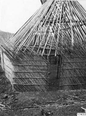 jungle, hut, building, wall work, photography, ph