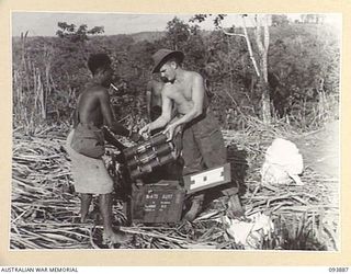 ULEBILUM RIDGE, YAMIL SECTOR, NEW GUINEA, 1945-07-08. PRIVATE R.C. ALEXANDER (1), ASSISTED BY A NATIVE LOOSENS 3-INCH AMMUNITION FROM THE ROPES OF A PARACHUTE. THE SUPPLIES, DISPATCHED TO FORWARD ..