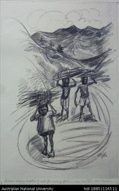 children carrying bundles of wood for cooking fires - near Kainantu, N.G