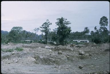 Arawa plantation being destroyed and town being built (1) : Bougainville Island, Papua New Guinea, March 1971 / Terence and Margaret Spencer