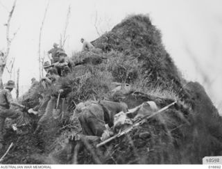 NEW GUINEA. 22 MARCH 1944. AUSTRALIAN FOXHOLES ON THE SIDE OF THE PIMPLE. THE LAST FEW YARDS OF TERRITORY FROM WHICH THE JAPANESE WERE EJECTED. A SHOT FROM THE DEPARTMENT OF INFORMATION FILM ..