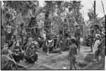 Pig festival, singsing, Kwiop: people gathered together around frame structure