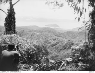 SALAMAUA, NEW GUINEA, 1943-08-09. INFANTRY OBSERVER OF THE 2/6TH AUSTRALIAN FIELD REGIMENT WATCHING JAPANESE IN SALAMAUA FROM WELLS OBSERVATION POST