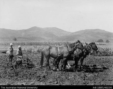 Tenant farms