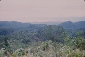 [Landscape of rainforested on mountains in Morobe, Papua New Guinea]