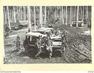 MILILAT, NEW GUINEA. 1944. VEHICLES AND PERSONNEL OF THE TRANSPORT SECTION, HEADQUARTERS, 5TH DIVISION