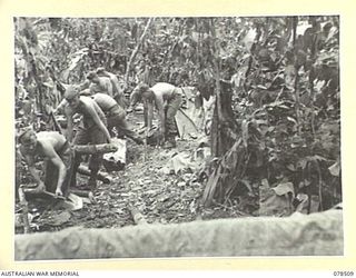 BOUGAINVILLE ISLAND, 1945-01-16. TROOPS OF "A" COMPANY, 47TH INFANTRY BATTALION DIGGING IN ON THE HUPAI-SAPANI RIVER AFTER EXPLOITING "B" COMPANY'S LANDING ON THE SOUTH BANK OF THE ADELE RIVER ..