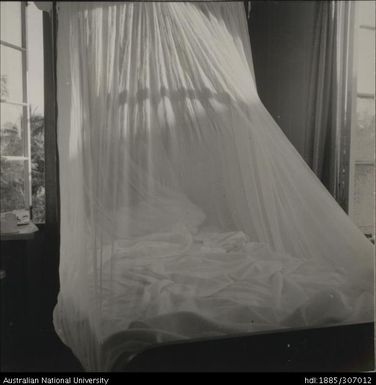 Mosquito net over bed