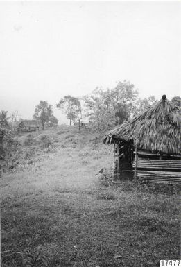 ["by, hus, landskap, skog, fotografi, photograph"]