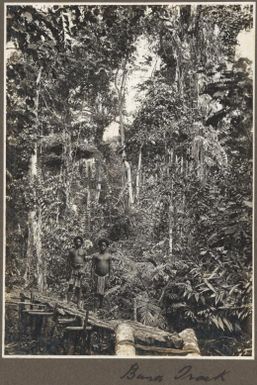 [Two men on] the Buna track, [Papua New Guinea]