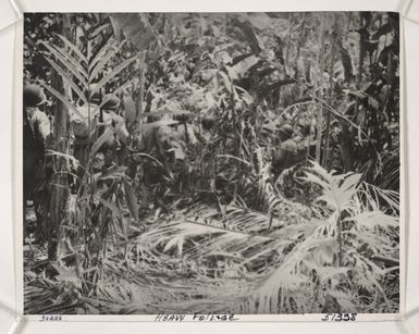 World War II – Guadalcanal and Guam