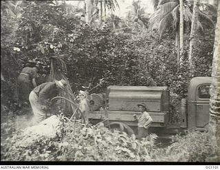 AITAPE, NORTH EAST NEW GUINEA. C. 1944-06. CORPORAL A. J. WHYTE, QLD, A RAAF POWDER MONKEY, USES A PNEUMATIC DRILL TO DRILL CORAL TO BE USED AS FOUNDATIONS FOR AN AIRSTRIP IN THE AITAPE AREA