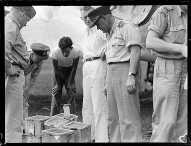 Wasps from Zanzibar within wooden carry cases being looked over by unidentified personnel, Western Samoa