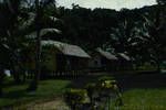 Thatched roof buildings and coconut trees