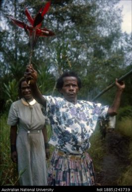 Person holding up plant material