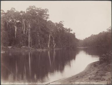 Fiu River, Malaita, Solomon Islands, 1906 / J.W. Beattie