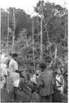Untying shell money from poles