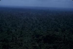 [Aerial view of Vanuatu forested plains]