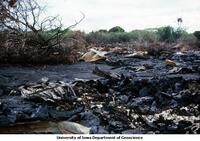 Lava flow with debris