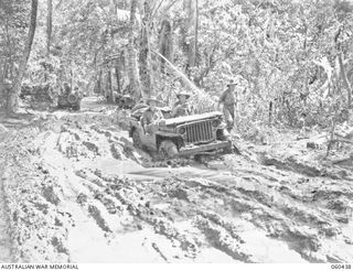 GODOWA, NEW GUINEA. 1943-11-05. A JEEP NEGOTIATING A BAD STRETCH OF MUDDY ROAD NEAR THE HEADQUARTERS OF 2/12TH AUSTRALIAN FIELD REGIMENT SHOWN ARE: VX13709 LIEUTENANT COLONEL G. D. HOUSTON, DSO, ..
