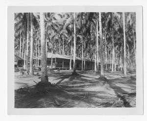 [Guadalcanal Sick Bay]