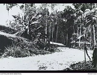 Goodenough Island, D'Entrecasteaux Islands, Papua, 1944. Road at the RAAF base leading past an administration hut at left half concealed by camouflage netting. Other huts stand among palm trees in ..