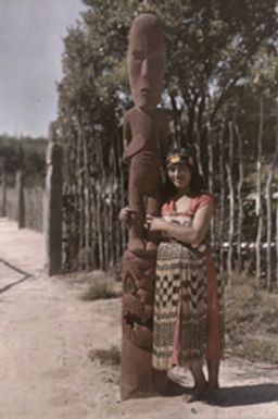 Tulip, Rotura, 1928