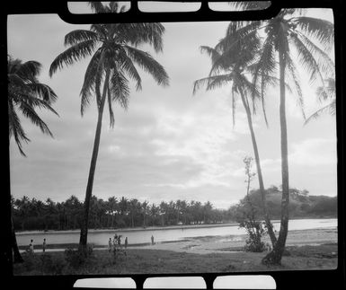 A sunset in Nadi, Fiji