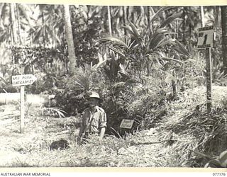 PALMALMAL PLANTATION, NEW BRITAIN. 1944-11-24. NX103881 CAPTAIN F.H. BANGEL, 17TH ADVANCED AMMUNITION DEPOT, OUTSIDE HIS AIR RAID SHELTER, "BANGEL'S BOLT HOLE". THIS SHELTER WAS FORMALLY A JAPANESE ..
